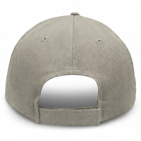 Ash with Charcoal Visor - Unstructured Baseball Cap - back 1