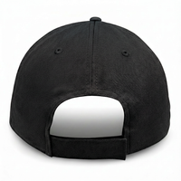Black with Eagle Logo - Structured Baseball Cap - back 1