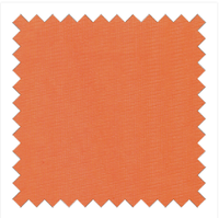 Swatch Blaze Orange T-BLA-60