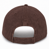 Brown Weathered - Unstructured Baseball Cap - back 1