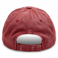 Clay Red Weathered Baseball Hat - back 1