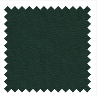 Dark Green  FC-DGR Swatch