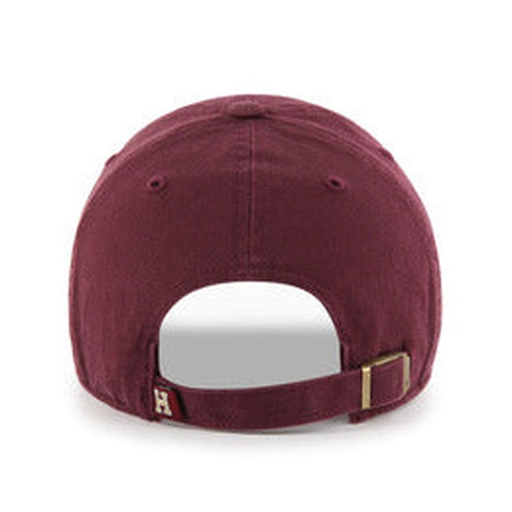 Harvard University Crimson - Unstructured Baseball Cap back view